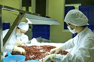 TRA: "Con ngựa bất kham" của cổ phiếu dược